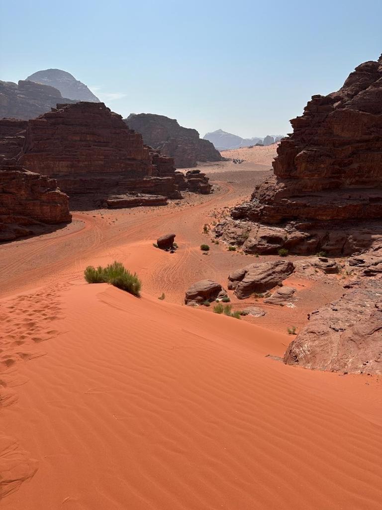 Bedouin Holidays Camp And Jeep Tours Вади-Рам Экстерьер фото